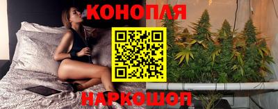 гидропоника Бийск