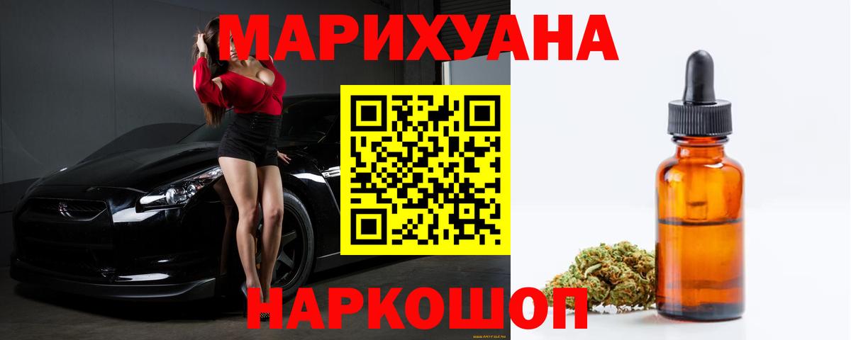 Каннабис планчик Берёзовский